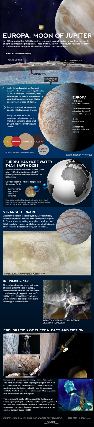 Scientists are eager to learn if Europa's huge subsurface ocean harbors alien life. <a href="http://www.space.com/22207-jupiter-moon-europa-water-ocean-infographic.html">See how Jupiter's icy moon Europa works in this SPACE.com infographic.</a>