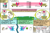 This cartoon helps explain the idea of entangled particles. Alice and Bob represent photon detectors, which NASA's Jet Propulsion Laboratory and the National Institute of Standards and Technology developed. 