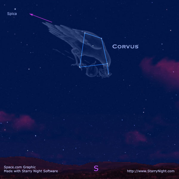 The constellation Corvus the crow.