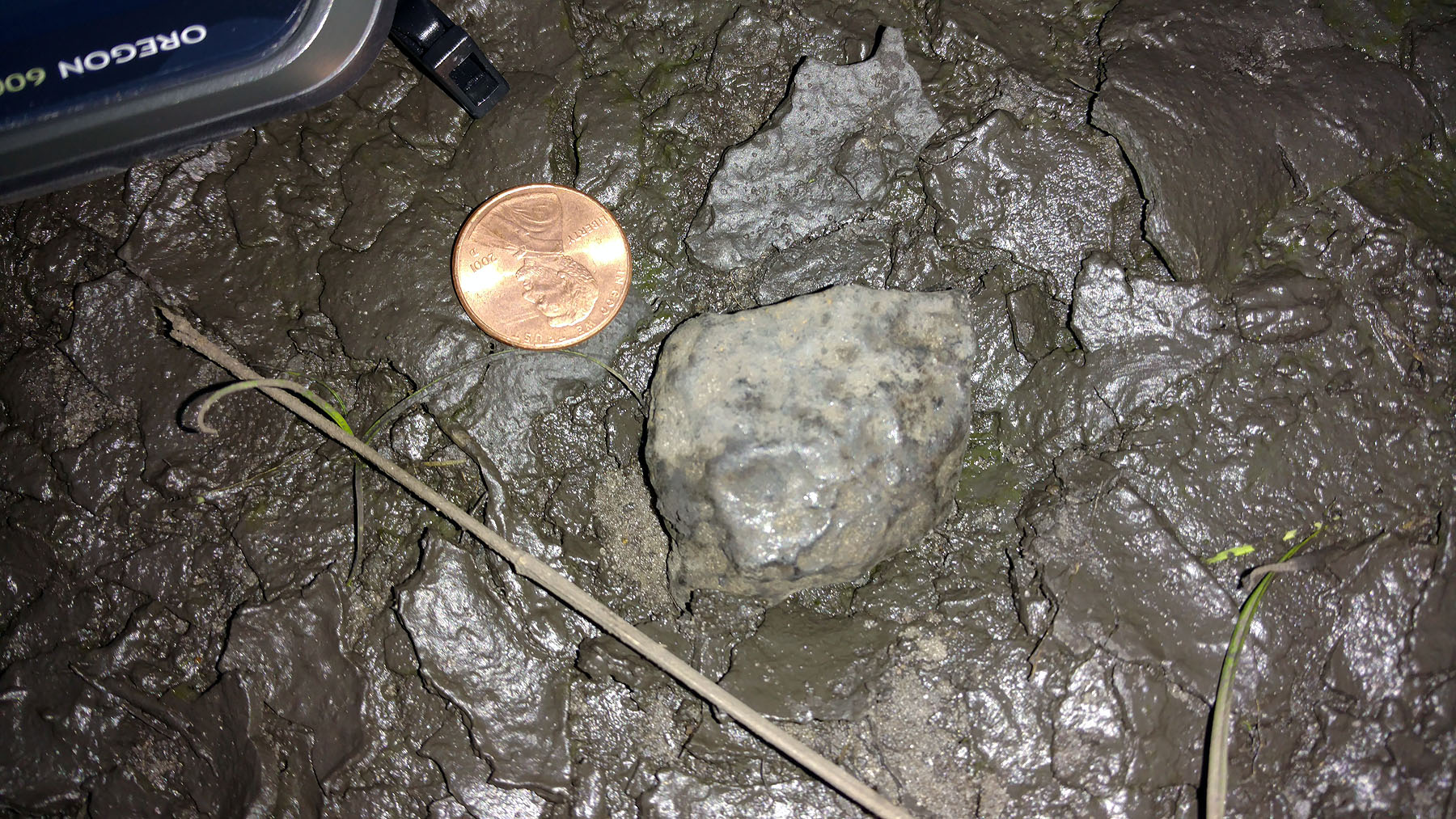 Fourth Osceola Meteorite Find – 42.5 Grams Close Up