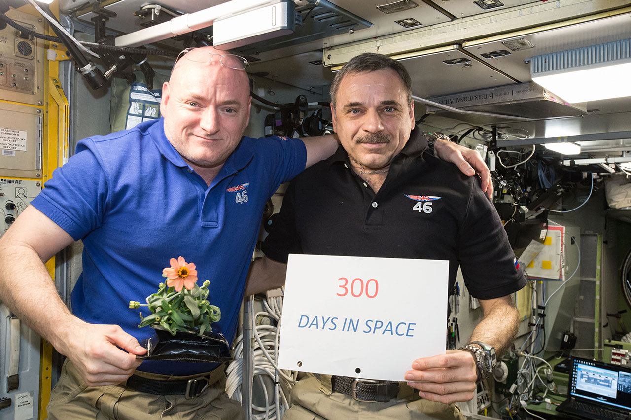 By the Numbers: Astronaut Scott Kelly's Year-in-Space Mission