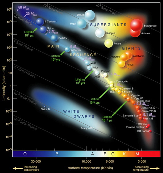 Astronomers use a graph called a Hertzsprung-Russell diagram to illustrate the way various classes of stars are related according to their temperature and their intrinsic brightness. The brightest stars are generally the largest, those that have evolved off of the main sequence. 