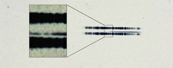 The 1917 photographic plate spectrum of van Maanen's star from the Carnegie Observatories’ archive. The pull-out box shows the strong lines of the element calcium, which are surprisingly easy to see in the century old spectrum. The spectrum is the thin, (mostly) dark line in the center of the image. The broad dark lanes above and below are from lamps used to calibrate wavelength, and are contrast-enhanced in the box to highlight the two “missing” absorption bands in the star. Available here as a standalone image.