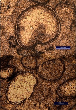 The huge impact would have vaporized the space rock, leaving behind tiny glass spherules (shown here).