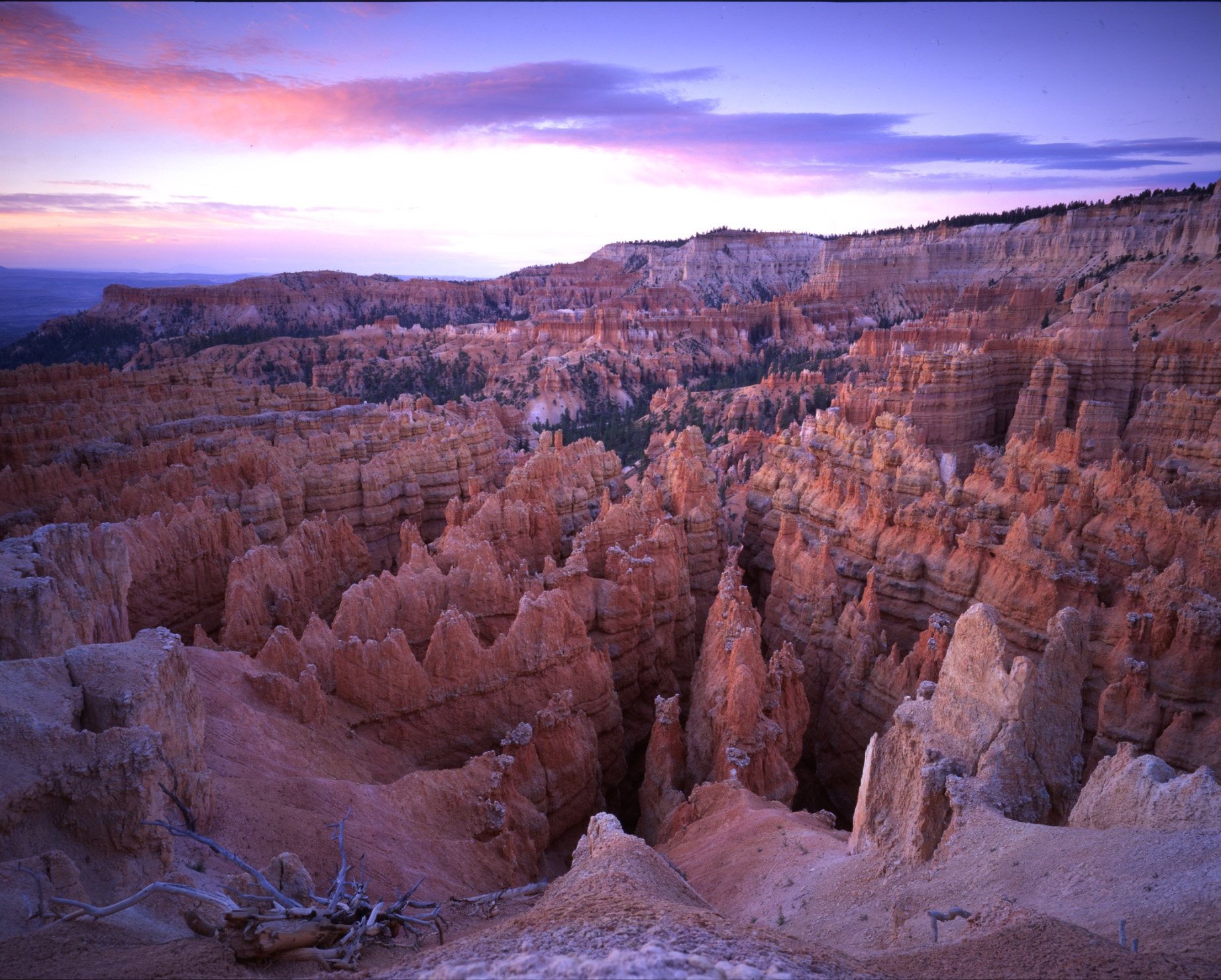 Utah Stargazing: Bryce Canyon Astronomy Festival Travelogue