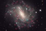 This Hubble Space Telescope image shows Cepheid variable stars (circled in red) and a Type Ia supernova (blue “X”) in the galaxy UGC 9391. Astronomers studied these and other “cosmic yardsticks” to calculate how fast the universe is expanding.