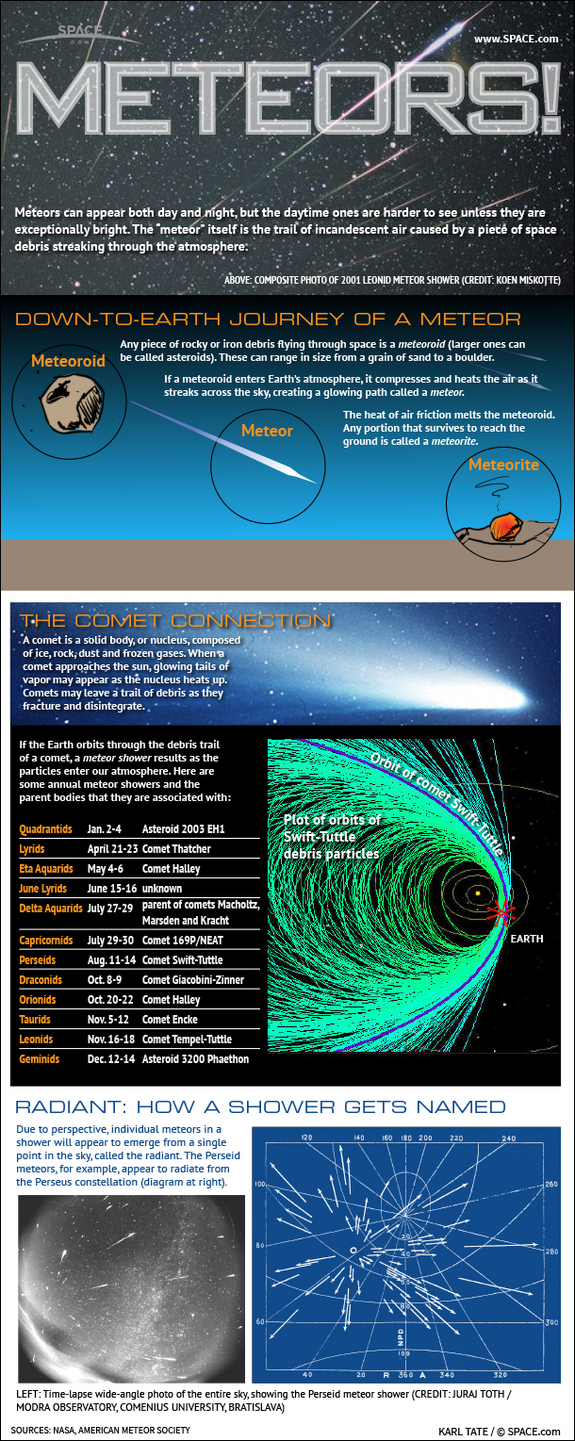 Learn why famous meteor showers like the Perseids and Leonids occur every year, in this SPACE.com infographic.